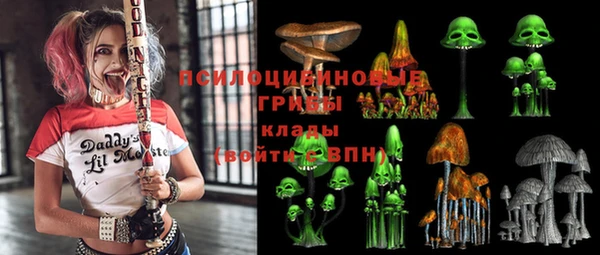амф Сосновка