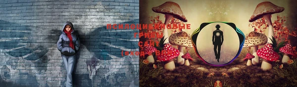 молекула духа Сосновоборск