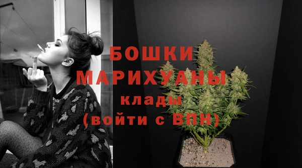 амф Сосновка