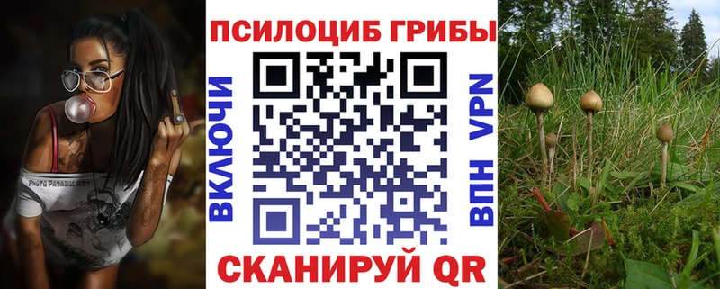 Псилоцибиновые грибы Cubensis  Александровское 
